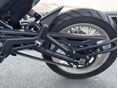 BENELLI LEONCINO 500 TRIAL 2022/4 - 7