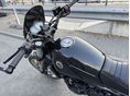 BENELLI LEONCINO 500 TRIAL 2022/4 - 9