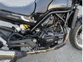 BENELLI LEONCINO 500 TRIAL 2022/4 - 12