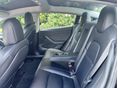 TESLA MODEL 3 2021/5 - 6