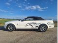 FORD MUSTANG 2005/10 - 4