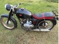PANNONIA T5H 1968/7 - 2