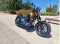 HARLEY-DAVIDSON SOFTAIL 2006 - 2