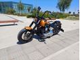 HARLEY-DAVIDSON SOFTAIL 2006 - 3