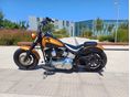 HARLEY-DAVIDSON SOFTAIL 2006 - 4