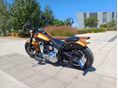HARLEY-DAVIDSON SOFTAIL 2006 - 5