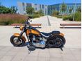 HARLEY-DAVIDSON SOFTAIL 2006 - 7