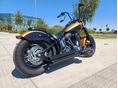 HARLEY-DAVIDSON SOFTAIL 2006 - 8