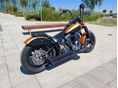 HARLEY-DAVIDSON SOFTAIL 2006 - 9