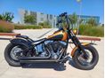 HARLEY-DAVIDSON SOFTAIL 2006 - 10