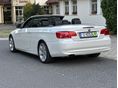 BMW 318 2011/4 - 6