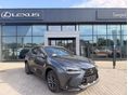 LEXUS NX 350h Executive CVT