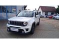 JEEP RENEGADE 2020/10 - 2