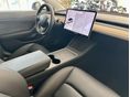 TESLA MODEL 3 2021/3 - 9