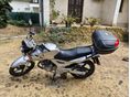 HONDA CBF 250 2007/8 - 3