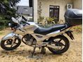 HONDA CBF 250 2007/8 - 9
