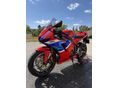 HONDA CBR 600 RR 2025 - 2