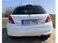 PEUGEOT 207 2010/10 - 8