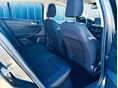 FORD FOCUS 2022/3 - 11
