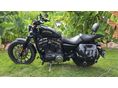 HARLEY-DAVIDSON SPORTSTER 883 IRON 2013/6 - 3