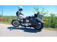 HARLEY-DAVIDSON DYNA LOW RIDER 2003/6 - 12