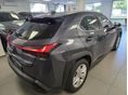 LEXUS UX 2021/10 - 3