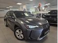 LEXUS UX 2021/10 - 1