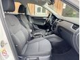 SKODA OCTAVIA 2019/11 - 10