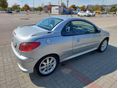 PEUGEOT 206 2005/9 - 6