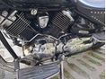 YAMAHA XVS 1100 A DRAG STAR 2005/3 - 7