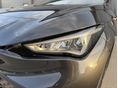 CUPRA BORN 2022/7 - 15