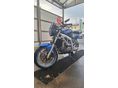SUZUKI SV 650 N 2004 - 5