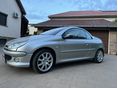 PEUGEOT 206 2006/4 - 6
