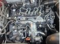 VOLKSWAGEN TIGUAN 2008/5 - 6