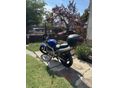 SUZUKI GS 500 E 2003/9 - 5