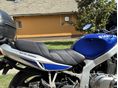SUZUKI GS 500 E 2003/9 - 6