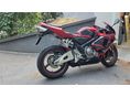 HONDA CBR 600 RR 2006/2 - 5