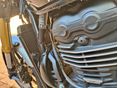 TRIUMPH SPEED 400 2024/12 - 2