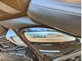 TRIUMPH SPEED 400 2024/12 - 3