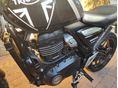 TRIUMPH SPEED 400 2024/12 - 10
