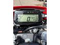 HONDA CRF 300 L 2025/7 - 6