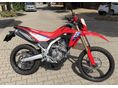 HONDA CRF 300 L 2025/7 - 4