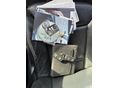 BMW X5 2007/3 - 13