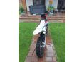KTM 250 SX-F 2023 - 5