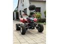 ARCTIC CAT DVX 400 