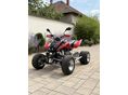 ARCTIC CAT DVX 400 2006 - 2