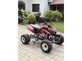 ARCTIC CAT DVX 400 2006 - 3
