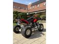 ARCTIC CAT DVX 400 2006 - 8