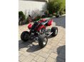 ARCTIC CAT DVX 400 2006 - 11