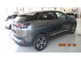 PEUGEOT 3008 2023/9 - 2